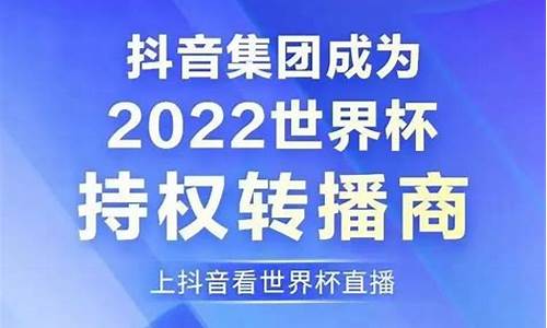 体育赛事转播权的论文_体育比赛转播权